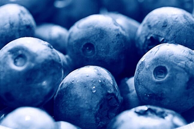 Blaubeeren für die ketogene Diät